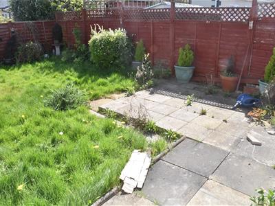 Picture 18